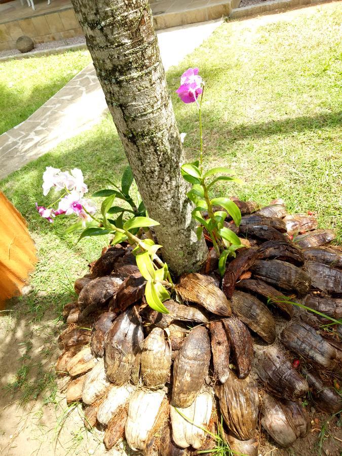 Chalets De Palma La Digue Dış mekan fotoğraf
